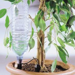 Arrosage goutte à goutte bouteille