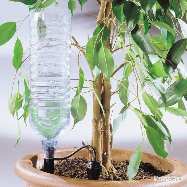 Arrosage goutte  goutte bouteille
