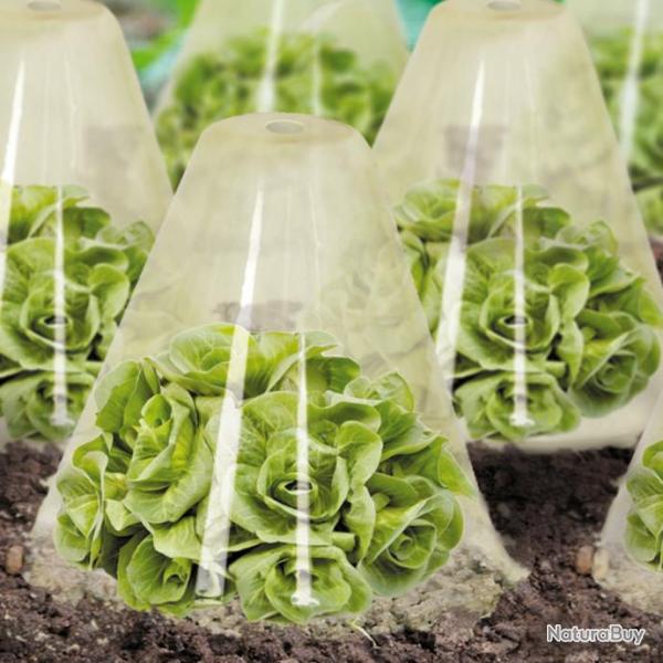 Cloches  salades x 12 Serre de protection pour plants Cne de forage diamtre 23 cm
