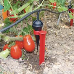 Kit arrosage goutte à goutte 20 gouteurs économes pour plantes