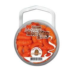 Teignes Naturelles Momifiées oranges