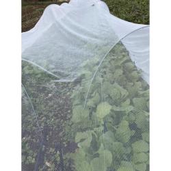 Filet anti-insectes pour plantes et arbres fruitiers