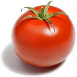 graines de Tomates Classiques F1 Avril