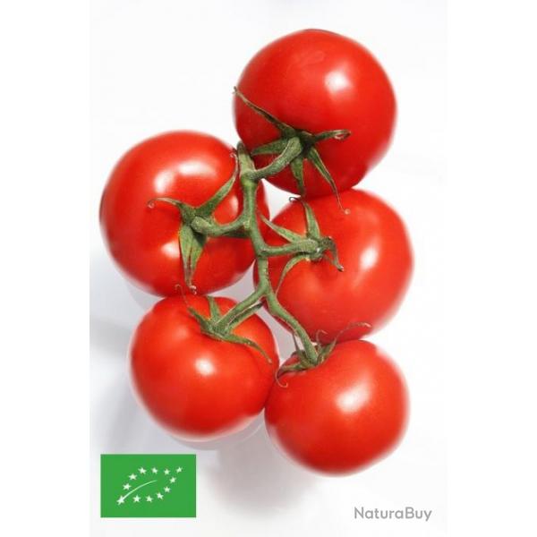 graines BIO de Tomates Juin Mars