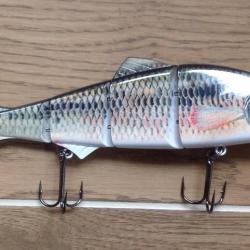 poissons nageurs gardon 24 cm pour attraper gros carnassiers