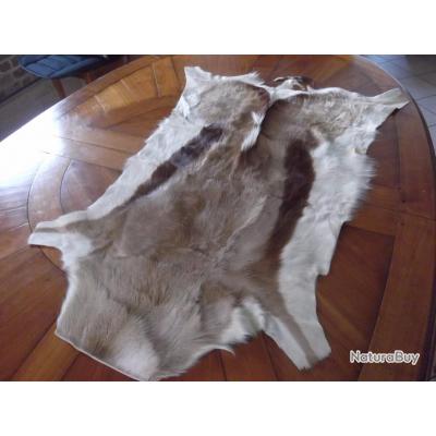 PEAU DE GAZELLE - Peaux, tannages (4276508) PEAU DE GAZELLE