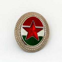 Broche Militaire - Képi ou Chapka - HONGRIE