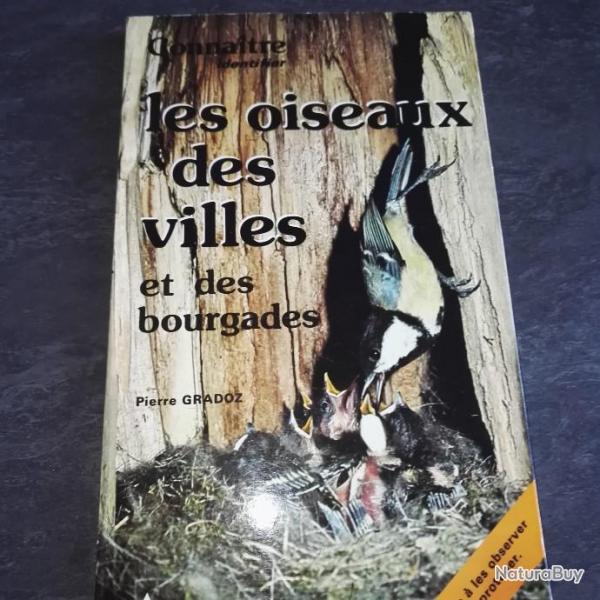 les oiseaux des villes et des bourgades