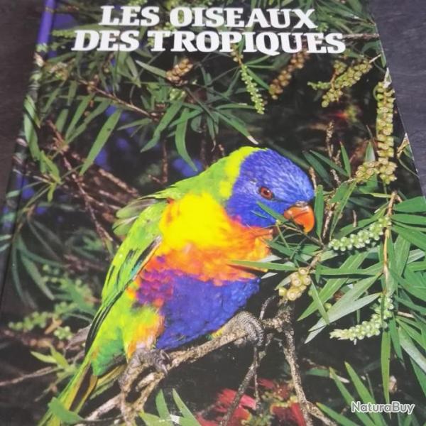 les oiseaux des tropiques