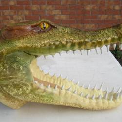 taxidermie naturalisé réplique grosse  tête  crocodile en résine taille réelle