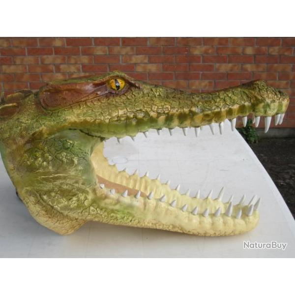 taxidermie naturalis rplique grosse  tte  crocodile en rsine taille relle