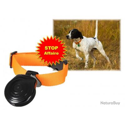 Caméra pour chien de chasse - Caméras embarquées (4439942) Caméra pour chien de chasse - Caméras embarquées (4439942)
