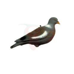 Forme pigeon/palombe