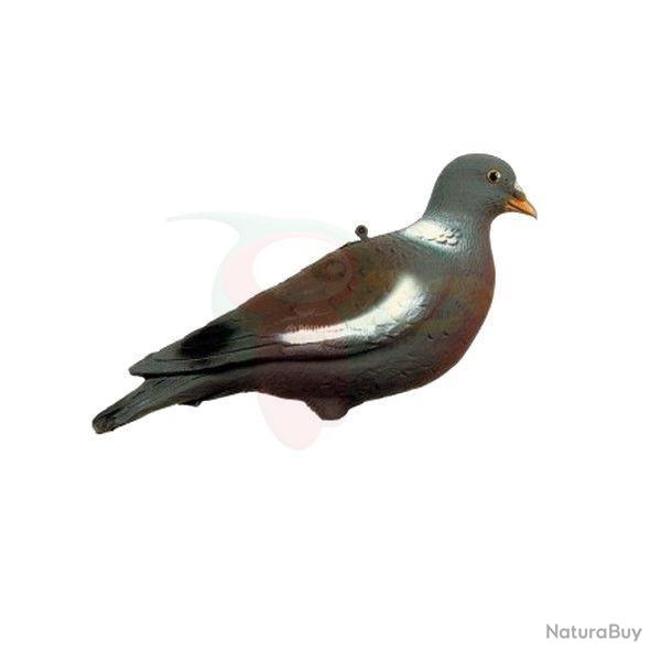 Forme pigeon/palombe