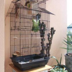Cage oiseau canaris inséparable mandarin NEUF avis cielterre-commerce