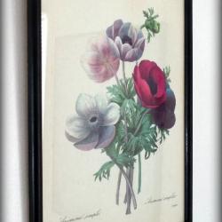 A saisir, lot de 3 sous-verre gravure motif floral-Botanique-Mi-XXèm-Anémone-Rose-Bouquet de Pensées