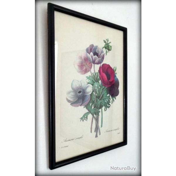 A saisir, lot de 3 sous-verre gravure motif floral-Botanique-Mi-XXm-Anmone-Rose-Bouquet de Penses