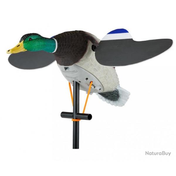 Colvert mle avec ailes pivotantes Lucky Junior 2 - LUCKY DUCK