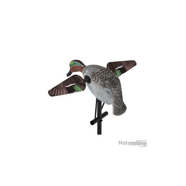 Sarcelle HD avec des ailes en rotation - LUCKY DUCK
