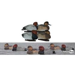 6 moules assortis de Fuligule milouin - AVIAN X