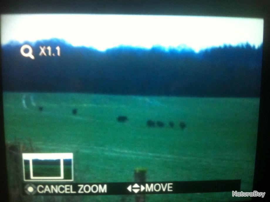Action De Chasse Disponible 2022 2023 72