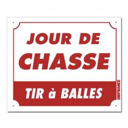 JOUR DE CHASSE - TIR À BALLES