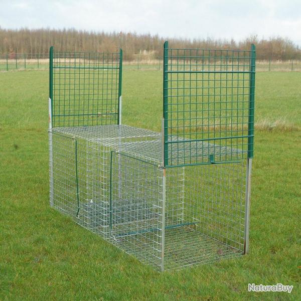 Cage spciale renard