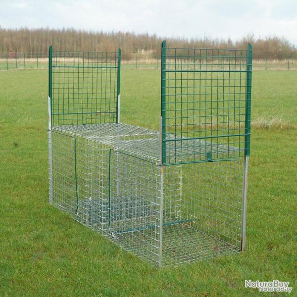 Cage spciale renard
