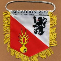 Fanion Gendarmerie  -  Escadron 22/9 Hirson