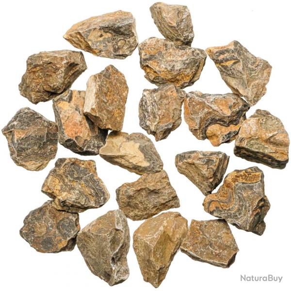 Pierres brutes stromatolithe - 3  5 cm - 250 grammes