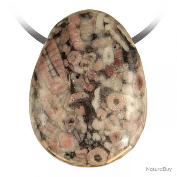 Pendentif goutte pierre perce en crinode fossille
