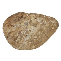 Tranche de stromatolithe polie - 7.5 x 5 cm
