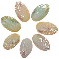 Coquillages mussel nacrés polis colorés pastel entiers - 6 à 8 cm - Lot de 2
