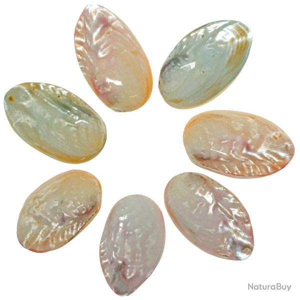 Coquillages moules nacres polies colores pastel entiers - 6  8 cm - Lot de 2