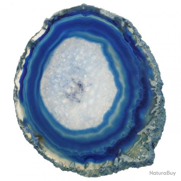 Tranche d'agate polie couleur bleue - 10  12 cm - A l'unit