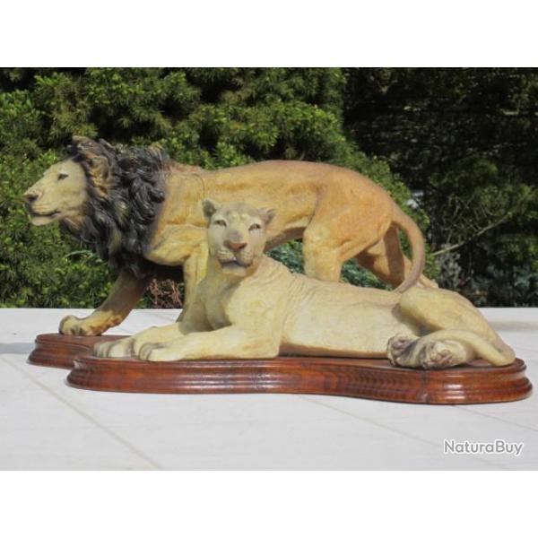 taxidermie naturalis empaill chasse  statue couple de lions  en rsine