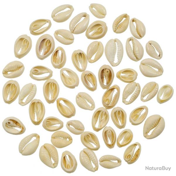 Coquillages cauris dcoups - 2 cm - 100 grammes