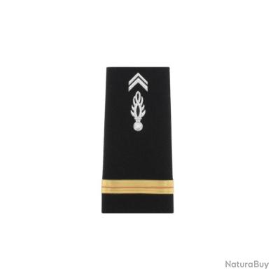 PAIRE DE PATTES D ÉPAULE DE LA FELDGENDARMERIE DU GRADE DE LIEUTENANT Troupes D Elite Item 13160272
