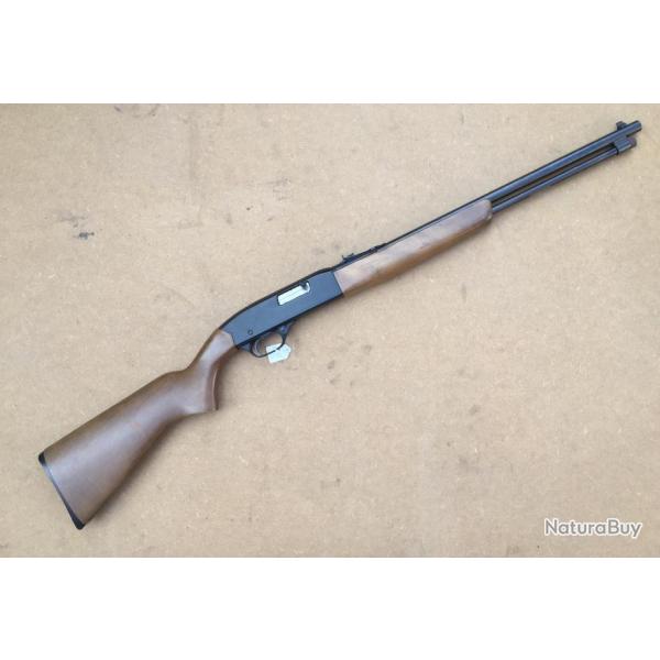 carabine WINCHESTER modele 190 - cal 22lr