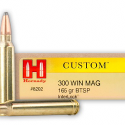 Munitions HORNADY Cal.300wm BTSP Custom 165gr par 60