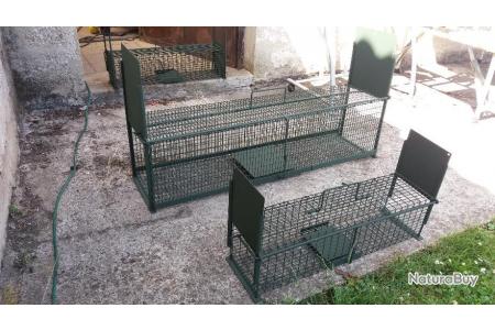 Ratiere Piege A Chat Pieges Cages Et Belettieres