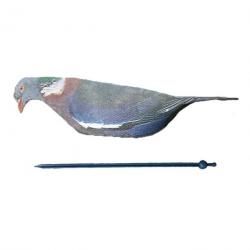 Lot de formes blettes 6 appelants pigeons NRA FUD top prix ...
