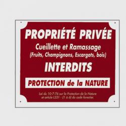 Pack 10 pancartes de chasse PROPRIÉTÉ PRIVÉE / 2