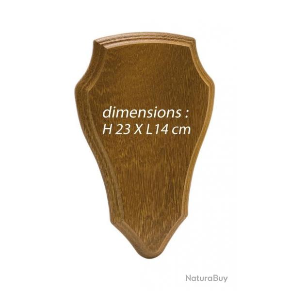 cusson chne chevreuil-H. 30 cm x L. 18 cm