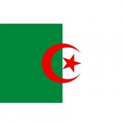 Drapeau Algerie (101 Inc)
