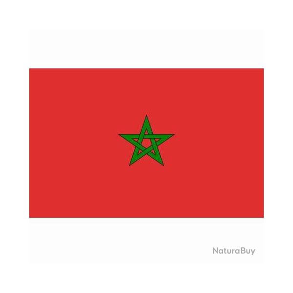 Drapeau Maroc (101 Inc)