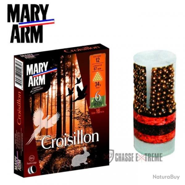 10 Cartouche MARY ARM Croisillon 34g Cal 12/67 Pb 6