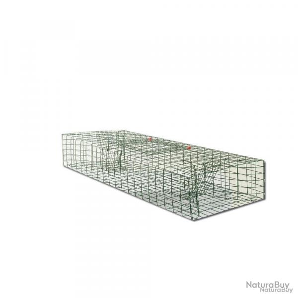 Nasse  rats musqus petit modle