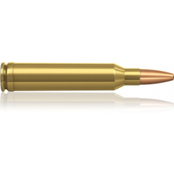 1 BOITES DE MUNITIONS NORMA   7 MM REMINGTON MAGNUM  ORYX