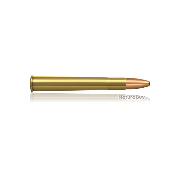 LOT DE 2 BOITES DE MUNITIONS NORMA  9.3 X74 R ORYX 18.5G